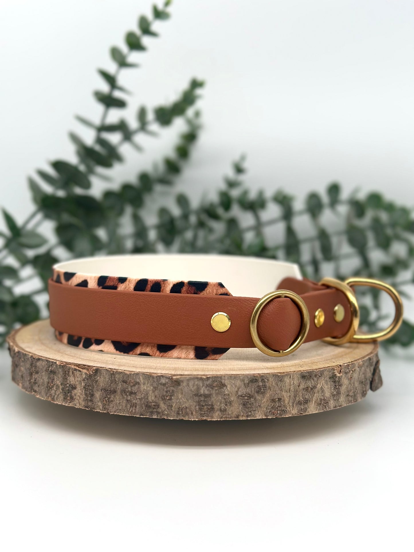 *Sonderedition* Leopard Biothane Zugstopphalsband 38cm - 43 cm