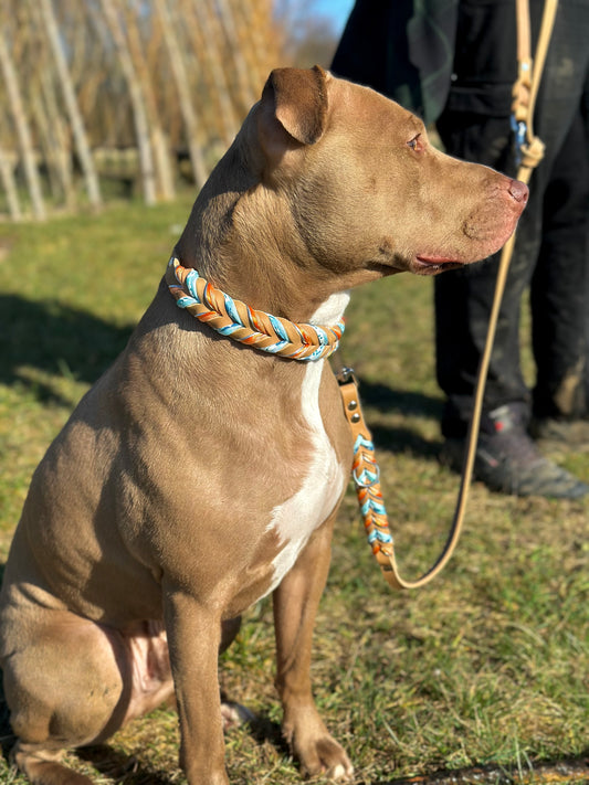 "Apricot Spring" - Limited Edition