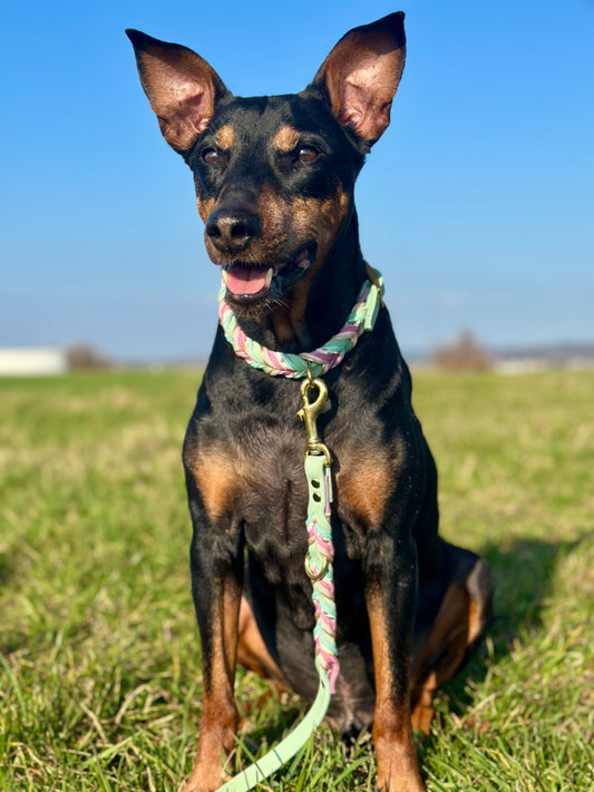 "Minty Flower" - Limited Edition