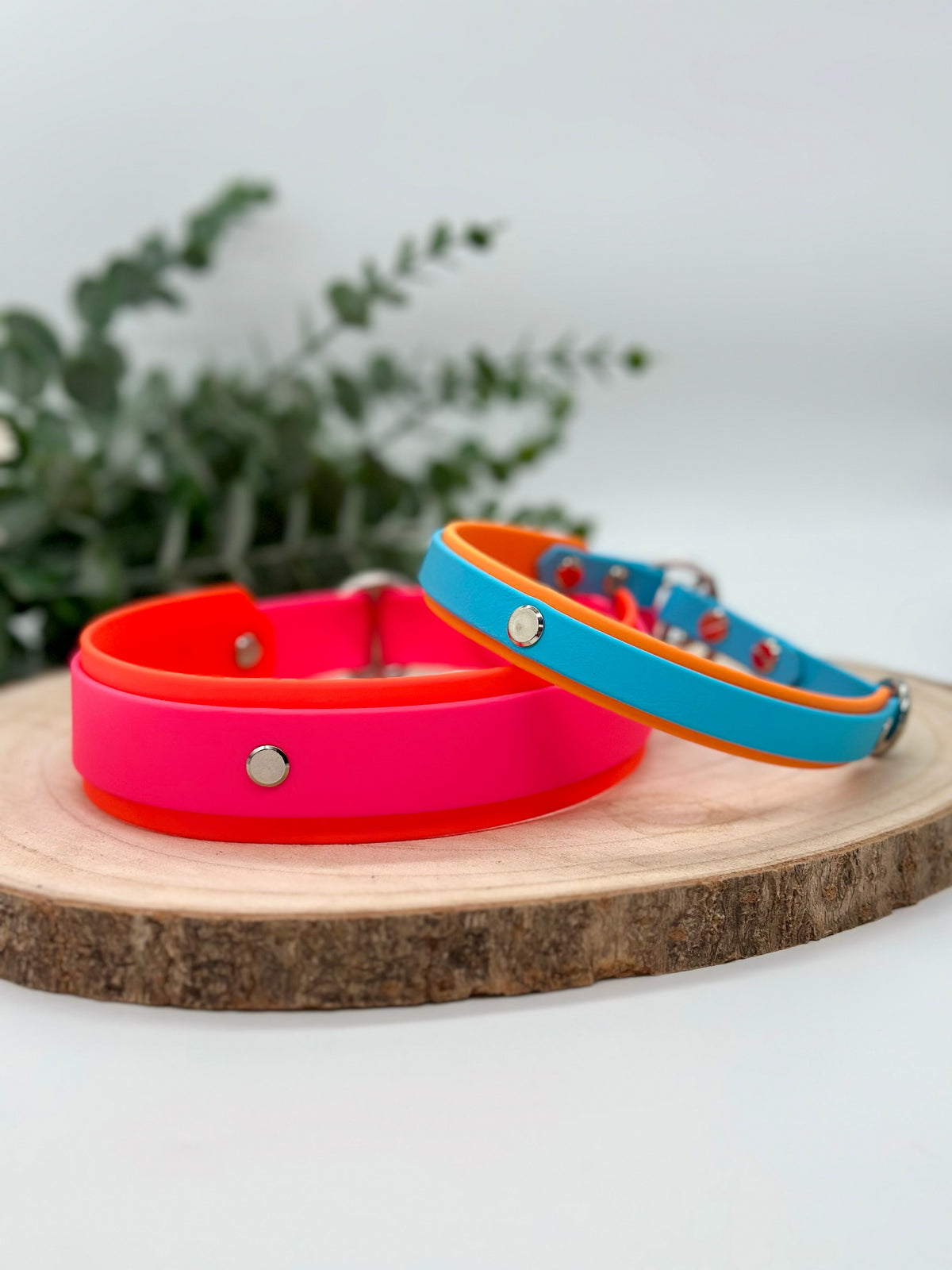 Biothane Halsband 'ColorMatch'