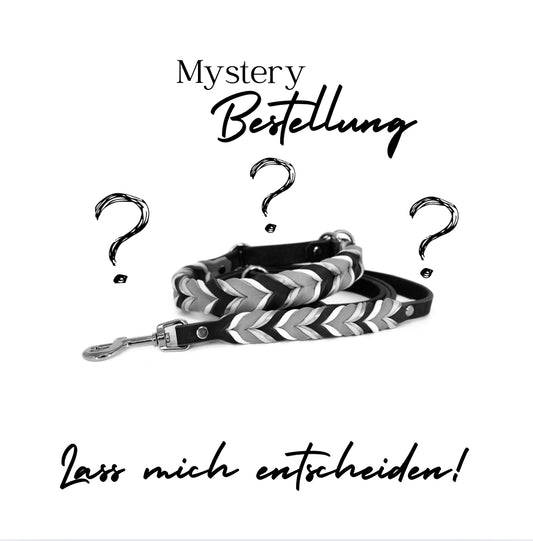 Mystery-Bestellung