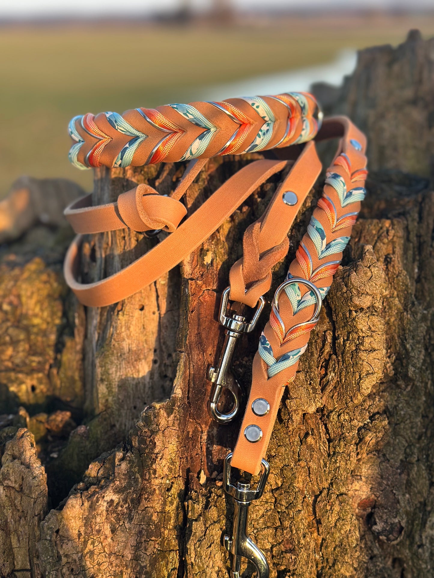 "Apricot Spring" - Limited Edition